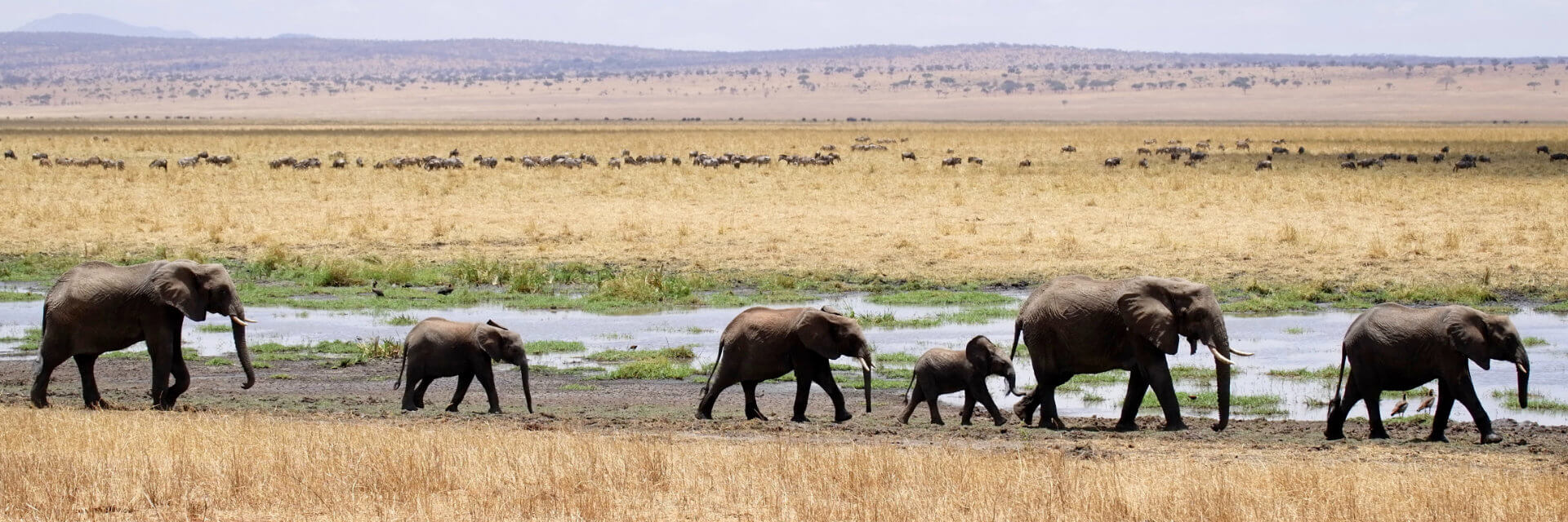 Arusha - Tanzania